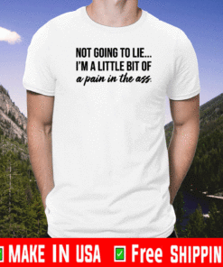 Not going to lie I am a little bit of a pain in the ass T-Shirt