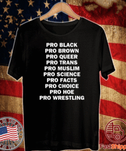 Pro black Pro Brown Pro Queer Pro Trans Pro Muslim T-Shirt