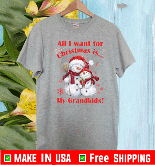 Snowman All I Want For Christmas Is My Grandkids T-Shirt