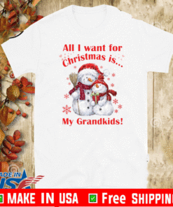 Snowman All I Want For Christmas Is My Grandkids T-Shirt