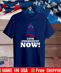 25th Amendment Now Remove Trump from Office 2021 T-Shirt