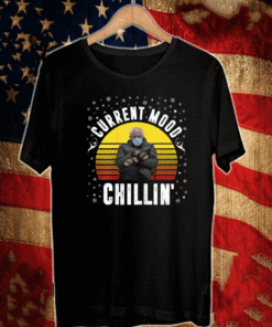 Bernie Sanders Current Mood Chillin' Retro Inauguration Meme Vinatge T-Shirt