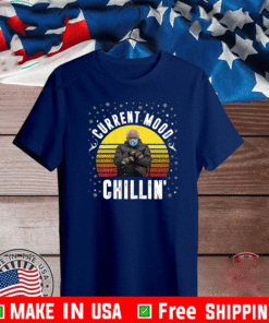 Bernie Sanders Current Mood Chillin' Retro Inauguration Meme Vinatge T-Shirt