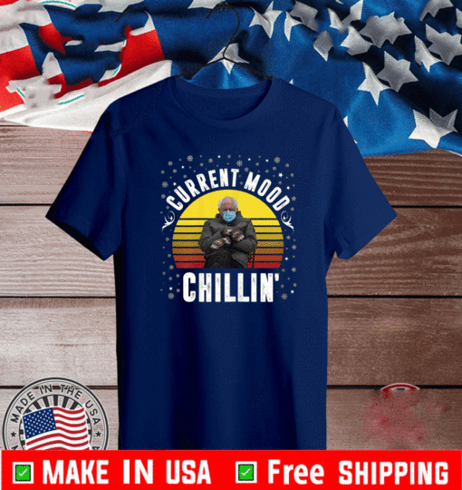 Bernie Sanders Current Mood Chillin' Retro Inauguration Meme Vinatge T-Shirt