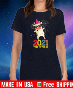 Chinese New Year 2021 Clothes Boy Girl Outfit Year Of The Ox T-Shirt