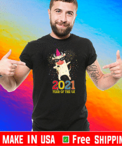 Chinese New Year 2021 Clothes Boy Girl Outfit Year Of The Ox T-Shirt