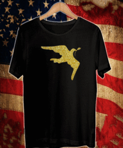 Inauguration Outfit Gold Dove Brooch Shirt