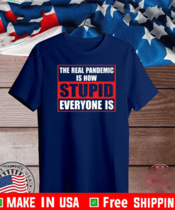 The Real Pandemic Is How Stupid Everyone Is Shirt