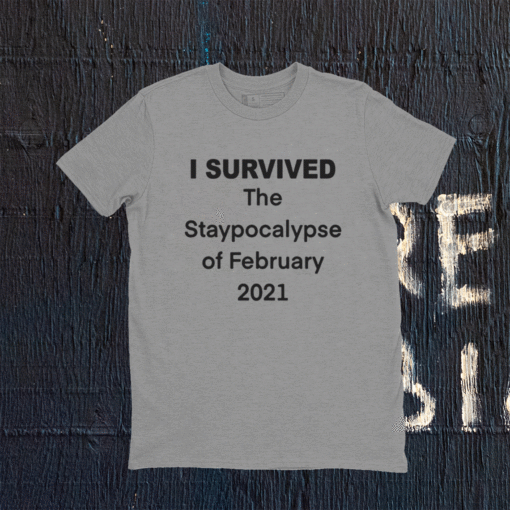 I Survived The Staypocalypse of February 2021 T-Shirt