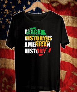 black history is american history T-Shirt