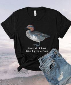 Bitch Do I Look Like I Give A Fuck Shirt