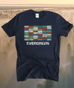 Ever Given Suez Canal Blockage Cosplay Shirt