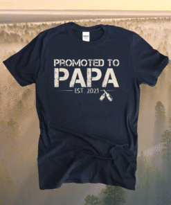 Promoted To Papa 2021 New Dad First Time Dad Fathers Day Shirt