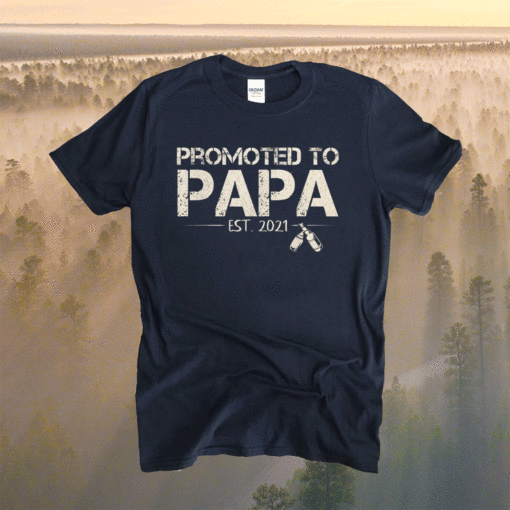Promoted To Papa 2021 New Dad First Time Dad Fathers Day Shirt