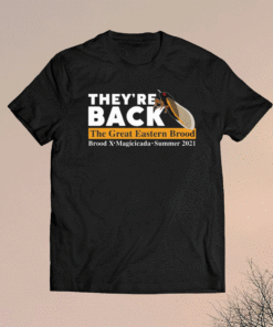 Theyre back Cicada the great eastern brood t-shirt
