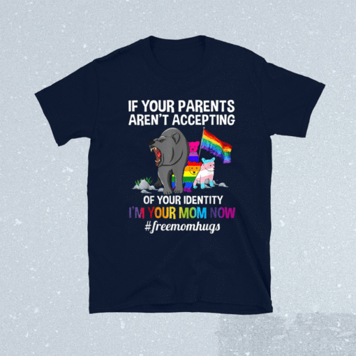 If Your Parent Aren't Accepting I'm Your Mom Now LGBTQ Mom Shirt