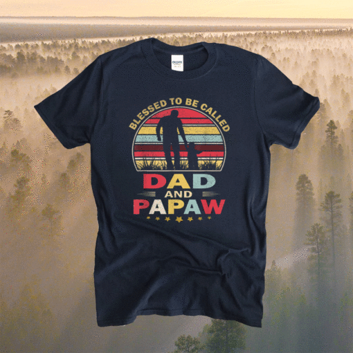 Vintage Blessed To Be Called Dad And Papaw Fathers Day Gift Shirt
