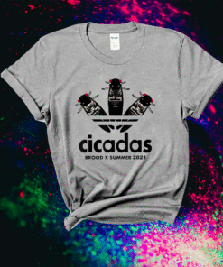 Brood X Cicada Summer Magicicada 2021 Shirt