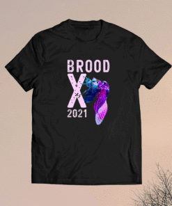 Cicada Brood X 2021 The Great Eastern Brood Magicicada Shirt