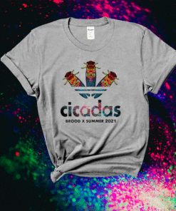 Cicada Summer Brood X Magicicada 2021 USA Shirt