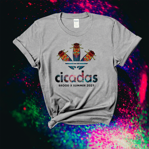 Cicada Summer Brood X Magicicada 2021 USA Shirt