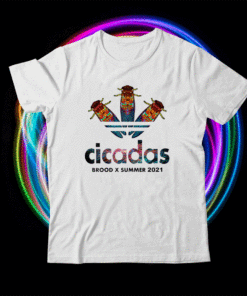 Cicada Summer Brood X Magicicada 2021 USA Shirt
