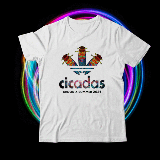 Cicada Summer Brood X Magicicada 2021 USA Shirt