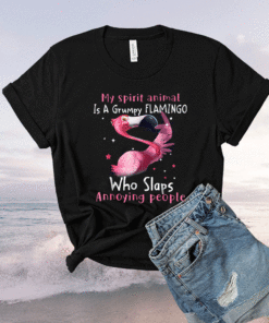 Flamingo Lover My Spirit Animal Is Grumpy Flamingo Shirt