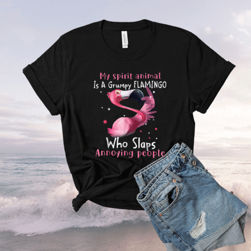 Flamingo Lover My Spirit Animal Is Grumpy Flamingo Shirt