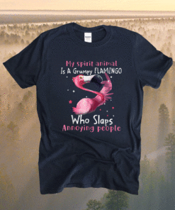 Flamingo Lover My Spirit Animal Is Grumpy Flamingo Shirt