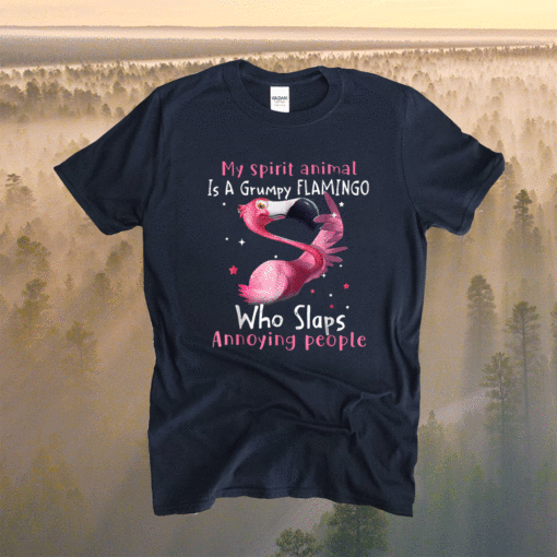 Flamingo Lover My Spirit Animal Is Grumpy Flamingo Shirt