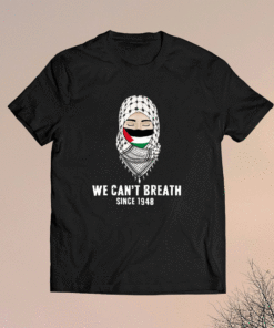 Free Palestine Gaza Palestinian Flag Stand With Falastin Shirt