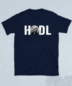 Hodl Hold the WSB Stonk to the Moon Ape Together Strong GME Shirt