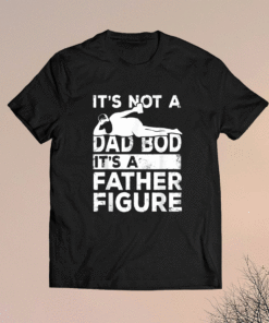 Its Not A Dad Bod Its A Father Figure Beer Lover Shirt