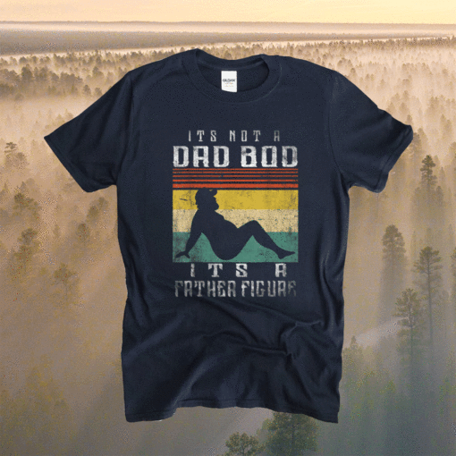 It's Not A Dad Bod It's A Father Figure Fathers Day Shirt