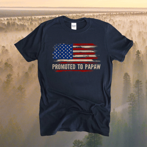 Promoted To Papaw American Flag Father's Day 2021 Shirt