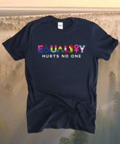 Equality Hurts No One LGBT Black Disabled Women Right Kind Shirt