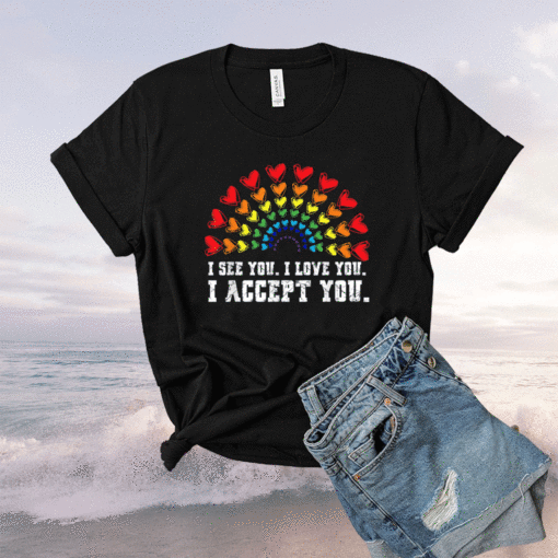 I see I love you I accept you LGBTQ Ally Gay Pride Shirt