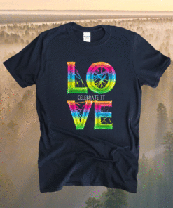 Love Celebrate It Cool Gay Pride Retro Graphic Shirt