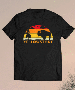 Retro Yellowstone National Park US Bison Buffalo Vintage Shirt