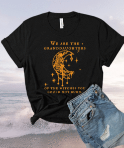We are the Granddaughters of the Witches you could not burn shirt