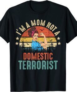 Funny I'm a mom not a domestic terrorist vintage rainbow decor TShirt