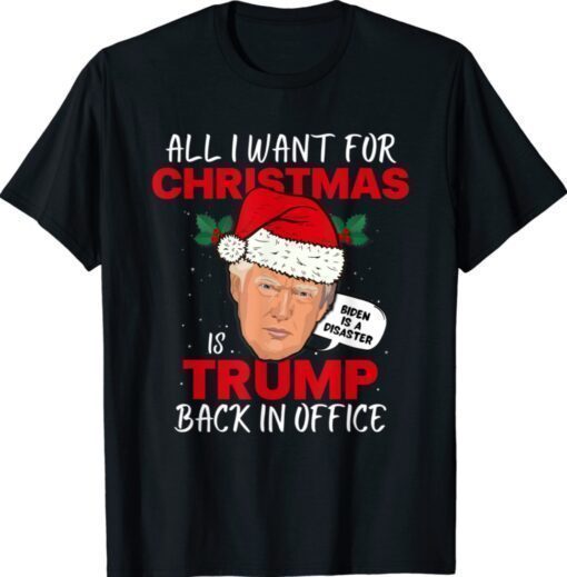 All I Want for Christmas is Trump Back In Funny Shirt