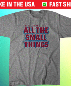 All the Small Things Colorado Hockey Shirt