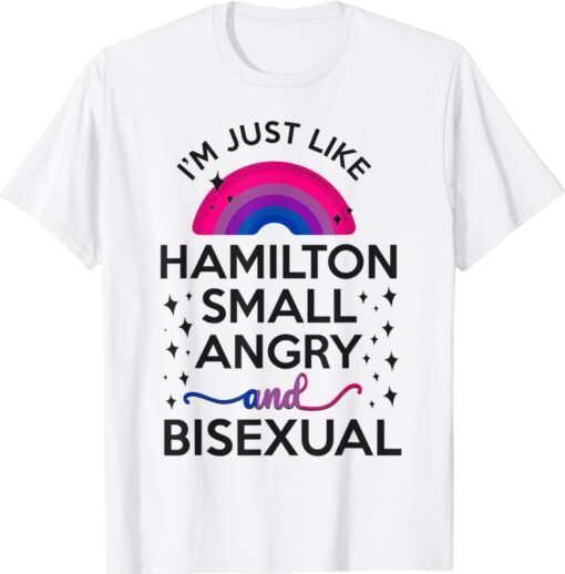 Bisexual Bi Pride Flag I'M Just Like Hamilton Small Angry Shirt