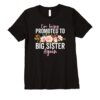 Big Sister Announcement Girls Promoted to Big Sister Again Shirt