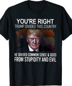 You're Right Trump Divided This Country He Divided Common Vintage Shirts
