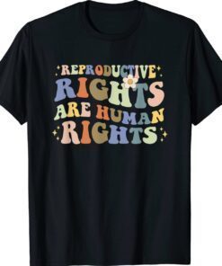 Aesthetic Reproductive Rights Are Human Rights Feminist Shirt