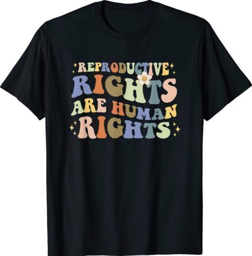 Aesthetic Reproductive Rights Are Human Rights Feminist Shirt