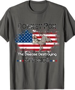 Donkey Pox The Disease Destroying America Donkeypox Back T-Shirt